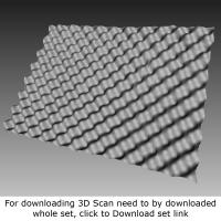 3D Scan of Sponge